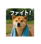 熱血な柴犬（個別スタンプ：3）