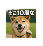 熱血な柴犬（個別スタンプ：7）