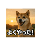 熱血な柴犬（個別スタンプ：10）