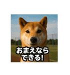 熱血な柴犬（個別スタンプ：13）