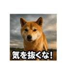 熱血な柴犬（個別スタンプ：15）