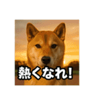 熱血な柴犬（個別スタンプ：21）