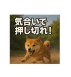 熱血な柴犬（個別スタンプ：27）