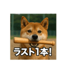 熱血な柴犬（個別スタンプ：30）
