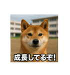 熱血な柴犬（個別スタンプ：32）