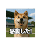熱血な柴犬（個別スタンプ：34）