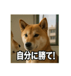 熱血な柴犬（個別スタンプ：35）