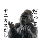 ヤニカス・タバコ好き返信ゴリラ（個別スタンプ：11）