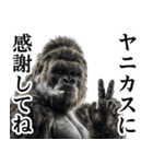 ヤニカス・タバコ好き返信ゴリラ（個別スタンプ：12）
