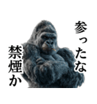 ヤニカス・タバコ好き返信ゴリラ（個別スタンプ：13）