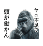 ヤニカス・タバコ好き返信ゴリラ（個別スタンプ：15）