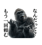 ヤニカス・タバコ好き返信ゴリラ（個別スタンプ：17）