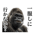 ヤニカス・タバコ好き返信ゴリラ（個別スタンプ：21）