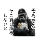 ヤニカス・タバコ好き返信ゴリラ（個別スタンプ：23）