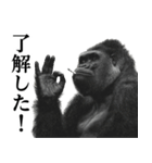 ヤニカス・タバコ好き返信ゴリラ（個別スタンプ：24）