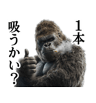 ヤニカス・タバコ好き返信ゴリラ（個別スタンプ：29）