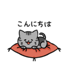 あなたのネコシリーズ9（個別スタンプ：3）