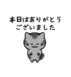あなたのネコシリーズ9（個別スタンプ：27）