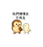 癒しフクロウの心語メモ（アニメ版）（個別スタンプ：10）