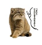 ヌマルネコの里（個別スタンプ：23）