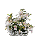 花の日常あいさつスタンプ（個別スタンプ：5）