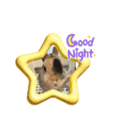 チャビかスタンプ4（個別スタンプ：2）