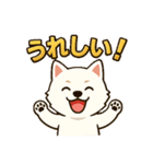 もふもふ 感情豊かな白い北海道犬 気持篇（個別スタンプ：1）