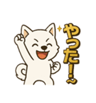 もふもふ 感情豊かな白い北海道犬 気持篇（個別スタンプ：3）