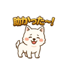 もふもふ 感情豊かな白い北海道犬 気持篇（個別スタンプ：5）