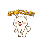 もふもふ 感情豊かな白い北海道犬 気持篇（個別スタンプ：8）