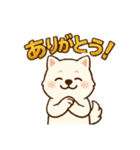 もふもふ 感情豊かな白い北海道犬 気持篇（個別スタンプ：9）