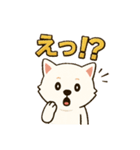もふもふ 感情豊かな白い北海道犬 気持篇（個別スタンプ：12）