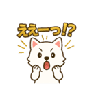 もふもふ 感情豊かな白い北海道犬 気持篇（個別スタンプ：13）