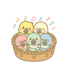バブインコ/Lv.1（個別スタンプ：1）