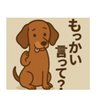なんか言ってる犬たち（個別スタンプ：8）