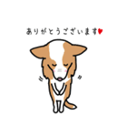 Team Woody（個別スタンプ：5）