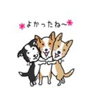 Team Woody（個別スタンプ：7）