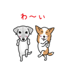 Team Woody（個別スタンプ：11）