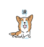 Team Woody（個別スタンプ：14）