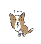 Team Woody（個別スタンプ：15）