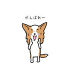 Team Woody（個別スタンプ：16）