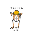 Team Woody（個別スタンプ：20）