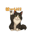 ふわもこ感情スタンプ ノル猫Ver（個別スタンプ：8）