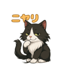 ふわもこ感情スタンプ ノル猫Ver（個別スタンプ：15）