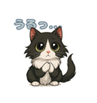 ふわもこ感情スタンプ ノル猫Ver（個別スタンプ：16）