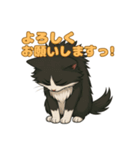 ふわもこ感情スタンプ ノル猫Ver（個別スタンプ：21）
