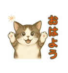 ちょっと太った猫のポン太（個別スタンプ：1）