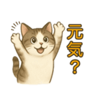 ちょっと太った猫のポン太（個別スタンプ：2）