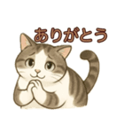 ちょっと太った猫のポン太（個別スタンプ：3）
