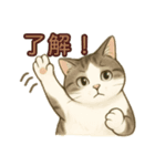 ちょっと太った猫のポン太（個別スタンプ：4）